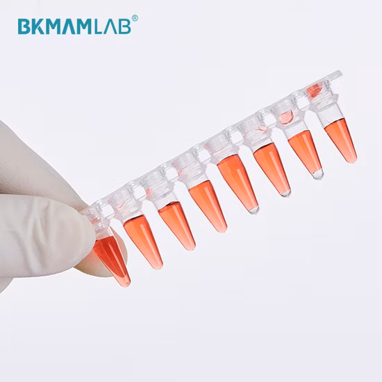Eo Sterile or Dnase Rnase Free Skirted 96 Well Micro PCR Plate Tube