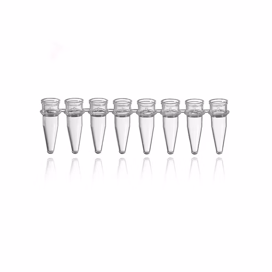 Thin Wall Flex Free PCR Tube in Strips of 8
