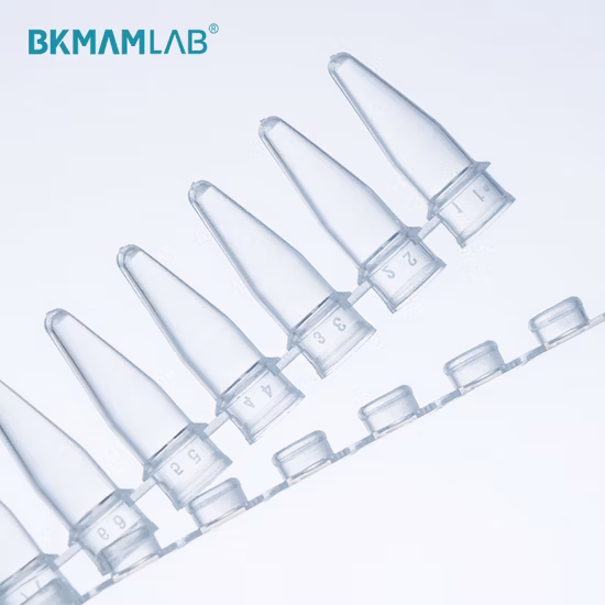 Eo Sterile or Dnase Rnase Free Skirted 96 Well Micro PCR Plate Tube