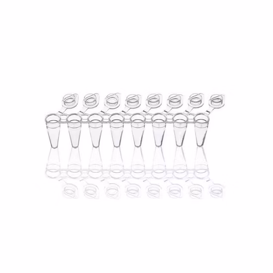 Thin Wall Flex Free PCR Tube in Strips of 8