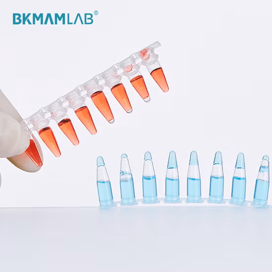Eo Sterile or Dnase Rnase Free Skirted 96 Well Micro PCR Plate Tube